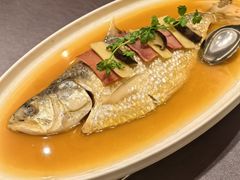 -骏莱海鲜鱼港(五角场店)