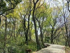 -苏州上方山国家森林公园