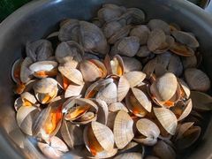 -日丰园海肠水饺·老字号大连海鲜(和平广场店)