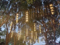 -淹城春秋乐园