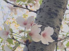 -良渚文化村