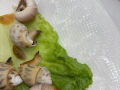 -新丁香海鲜酒店(银海商贸城店)