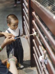 -酷嗒动物文化乐园(cutezoo西溪乐天城店)