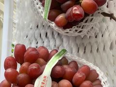 -马陆小张葡萄园农家乐