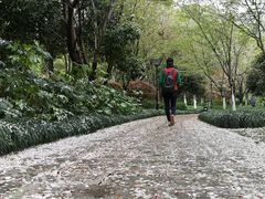 -杭州城北体育公园