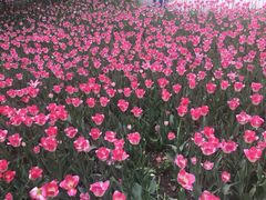 -长春公园(普阳街道)