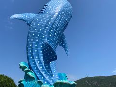 -珠海长隆海洋王国