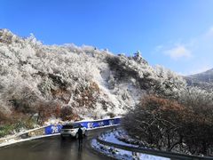 -秦岭风景区