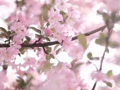 -贵阳市花溪国家城市湿地公园