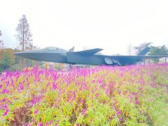 -成飞公园