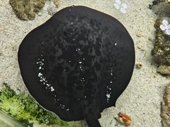 -嘉兴海底世界