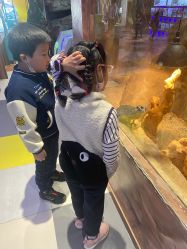 -宝燕乐园(闵行旗舰店)