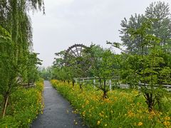 -溱湖国家湿地公园