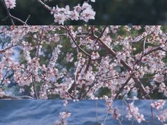 -颐和园