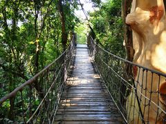 -天门沟九州驿站树上汤泉