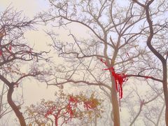 -泰山风景名胜区