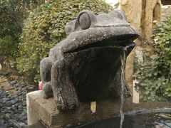 -仁爱团泊湖温泉中心