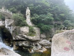 -陕西省红河谷森林公园
