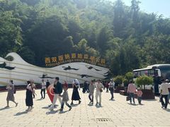 -西双版纳原始森林公园