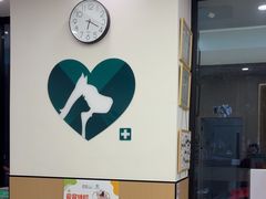 -瑞派康怡24h宠物医院·犬猫医疗中心·微创绝育(瑞景分院)