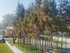 -云禾壹海景庄园餐厅