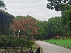 -共青国家森林公园-售票处