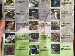 -热带雨林自然公园