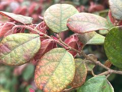 -杭州湖滨银泰in77