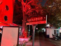 -杜甫江阁