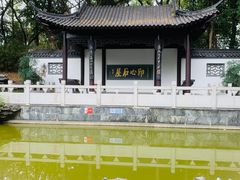 -深圳国际园林花卉博览园