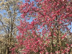 -玄武湖景区-情侣园游乐场