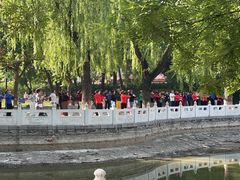 -丰台花园