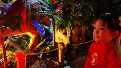 -恐龙探索乐园(磁器口店)