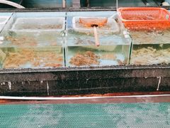 水产区-金辉海鲜餐厅