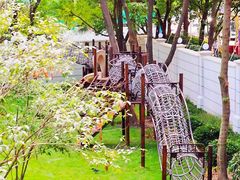 -格林菲尔幼儿园