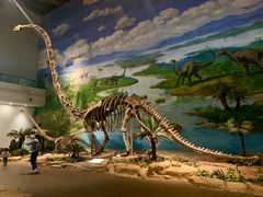 -自贡恐龙博物馆