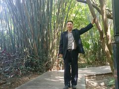 -大屏嶂森林公园