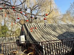 -悦真雅院·四合院·清真私房菜(雍和宫店)