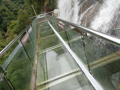 -九龙江国家森林公园