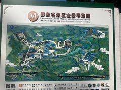 -野象谷景区