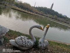-顺峰山公园
