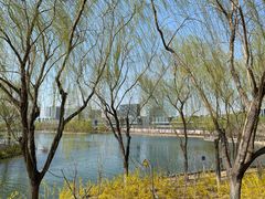 -大兴滨河森林公园