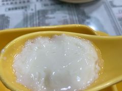 姜汁撞奶-仁信老铺(盈信城市广场B区店)