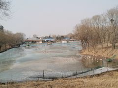 -沈阳森林动物园