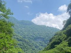 -陕西省红河谷森林公园