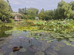 -国家植物园南园