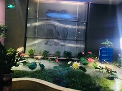 -合和大唐(福永店)