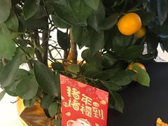 -梅龙镇广场