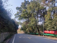 -天花井景区