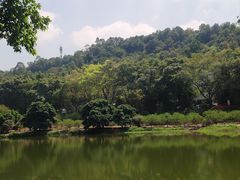 -南国桃园旅游度假区